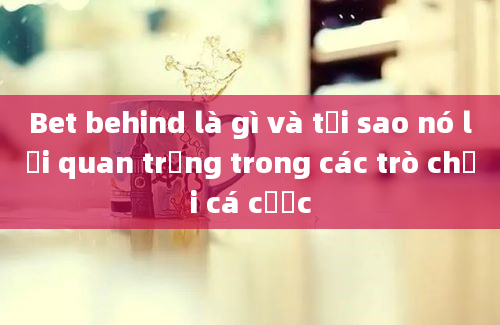 Bet behind là gì và tại sao nó lại quan trọng trong các trò chơi cá cược