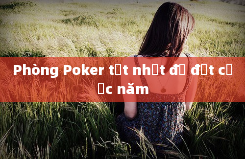 Phòng Poker tốt nhất để đặt cược năm