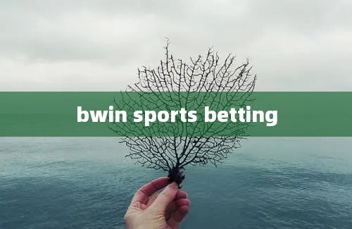 bwin sports betting