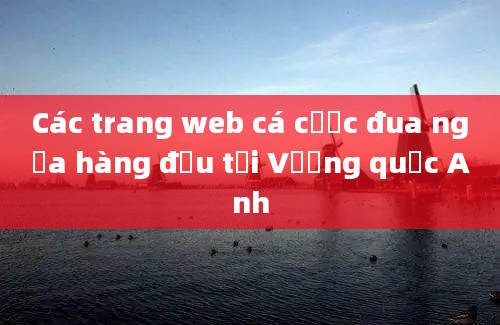 Các trang web cá cược đua ngựa hàng đầu tại Vương quốc Anh