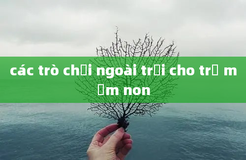 các trò chơi ngoài trời cho trẻ mầm non