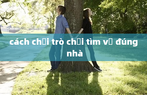 cách chơi trò chơi tìm về đúng nhà