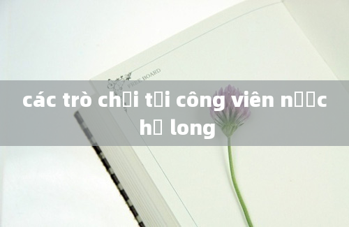 các trò chơi tại công viên nước hạ long