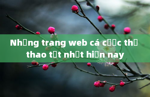 Những trang web cá cược thể thao tốt nhất hiện nay