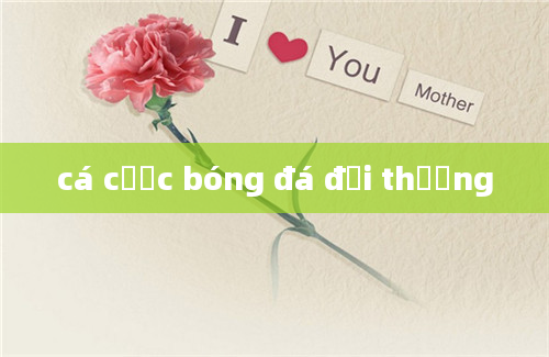 cá cược bóng đá đổi thưởng