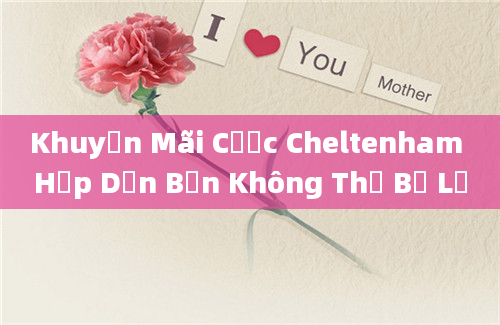 Khuyến Mãi Cược Cheltenham Hấp Dẫn Bạn Không Thể Bỏ Lỡ