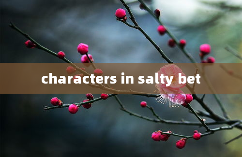 characters in salty bet