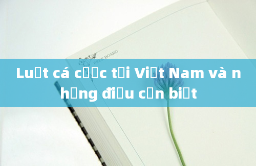 Luật cá cược tại Việt Nam và những điều cần biết