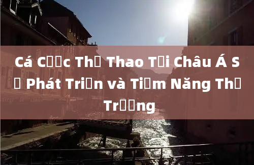 Cá Cược Thể Thao Tại Châu Á Sự Phát Triển và Tiềm Năng Thị Trường