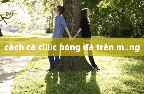 cách cá cược bóng đá trên mạng