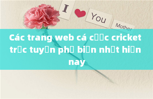 Các trang web cá cược cricket trực tuyến phổ biến nhất hiện nay