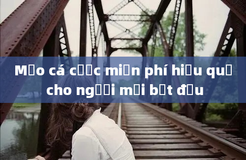 Mẹo cá cược miễn phí hiệu quả cho người mới bắt đầu