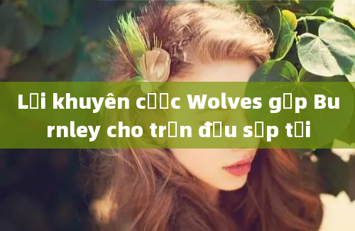 Lời khuyên cược Wolves gặp Burnley cho trận đấu sắp tới