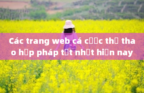 Các trang web cá cược thể thao hợp pháp tốt nhất hiện nay