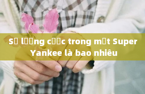 Số lượng cược trong một Super Yankee là bao nhiêu