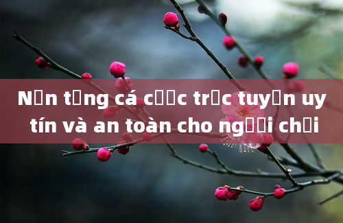 Nền tảng cá cược trực tuyến uy tín và an toàn cho người chơi