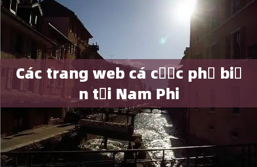 Các trang web cá cược phổ biến tại Nam Phi