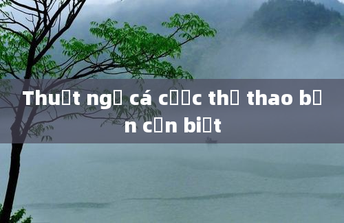 Thuật ngữ cá cược thể thao bạn cần biết