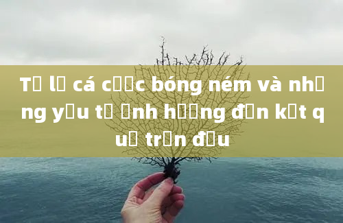 Tỷ lệ cá cược bóng ném và những yếu tố ảnh hưởng đến kết quả trận đấu