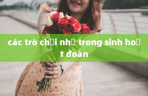 các trò chơi nhỏ trong sinh hoạt đoàn