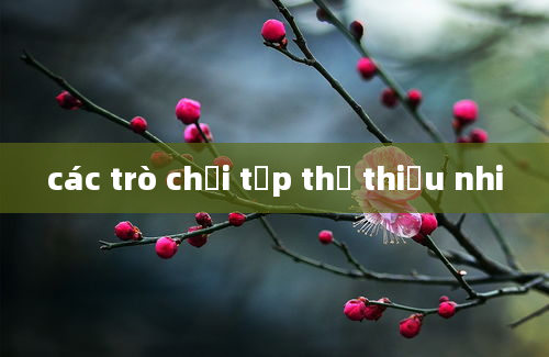 các trò chơi tập thể thiếu nhi