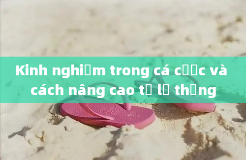 Kinh nghiệm trong cá cược và cách nâng cao tỷ lệ thắng