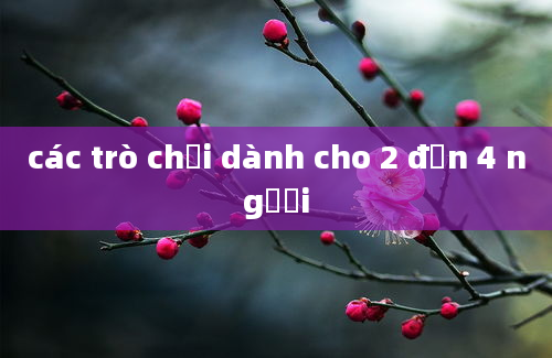 các trò chơi dành cho 2 đến 4 người