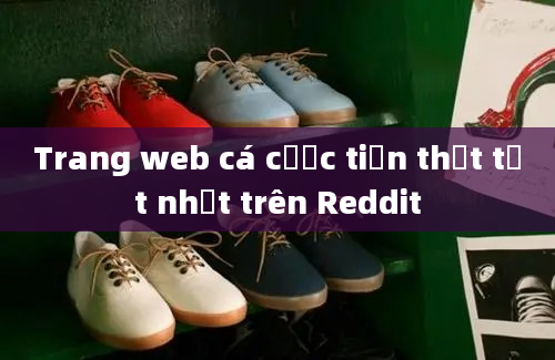 Trang web cá cược tiền thật tốt nhất trên Reddit