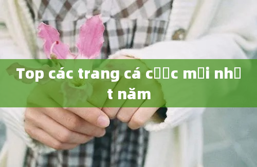 Top các trang cá cược mới nhất năm