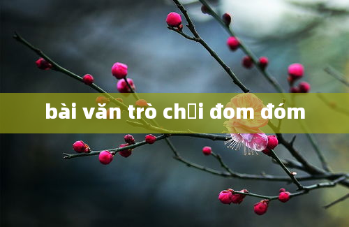 bài văn trò chơi đom đóm