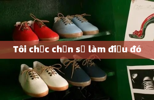 Tôi chắc chắn sẽ làm điều đó