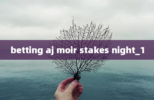 betting aj moir stakes night_1