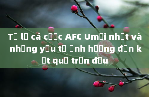 Tỷ lệ cá cược AFC Umới nhất và những yếu tố ảnh hưởng đến kết quả trận đấu