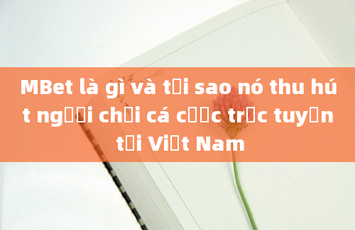 MBet là gì và tại sao nó thu hút người chơi cá cược trực tuyến tại Việt Nam