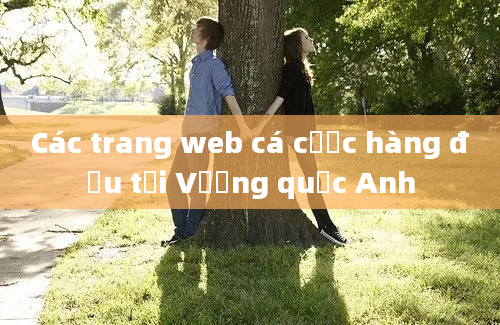 Các trang web cá cược hàng đầu tại Vương quốc Anh