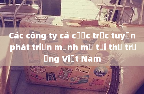 Các công ty cá cược trực tuyến phát triển mạnh mẽ tại thị trường Việt Nam