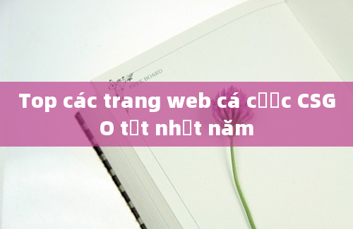 Top các trang web cá cược CSGO tốt nhất năm