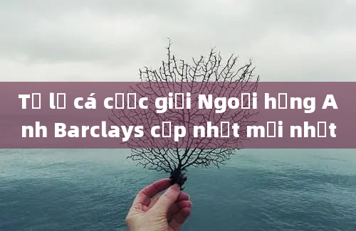 Tỷ lệ cá cược giải Ngoại hạng Anh Barclays cập nhật mới nhất