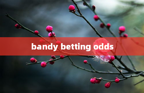 bandy betting odds