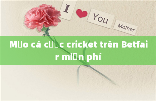 Mẹo cá cược cricket trên Betfair miễn phí