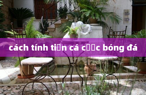 cách tính tiền cá cược bóng đá