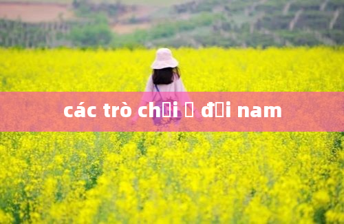 các trò chơi ở đại nam