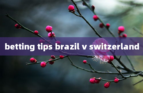 betting tips brazil v switzerland