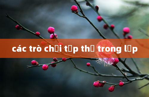 các trò chơi tập thể trong lớp