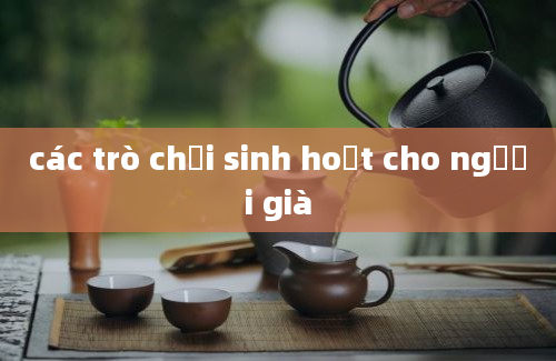 các trò chơi sinh hoạt cho người già