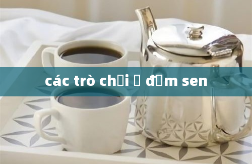 các trò chơi ở đầm sen