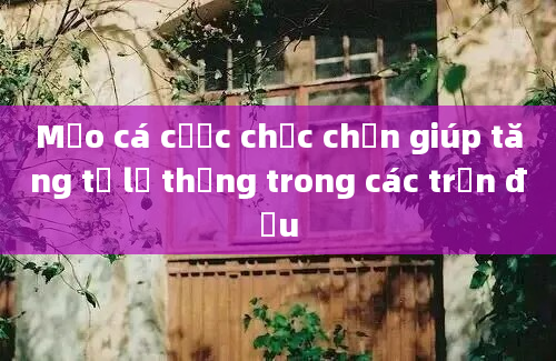 Mẹo cá cược chắc chắn giúp tăng tỷ lệ thắng trong các trận đấu