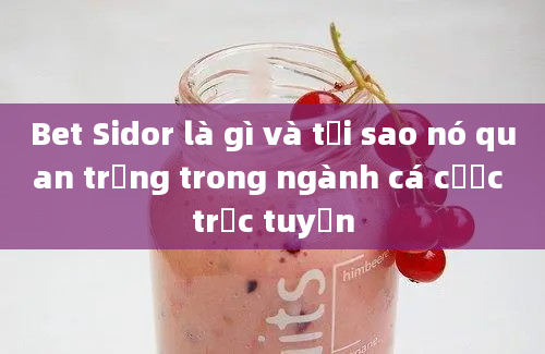 Bet Sidor là gì và tại sao nó quan trọng trong ngành cá cược trực tuyến