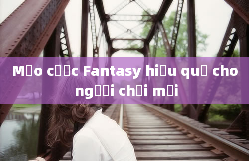 Mẹo cược Fantasy hiệu quả cho người chơi mới