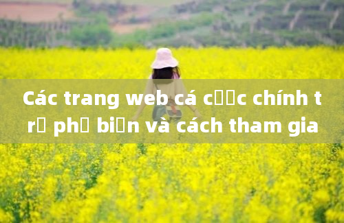 Các trang web cá cược chính trị phổ biến và cách tham gia